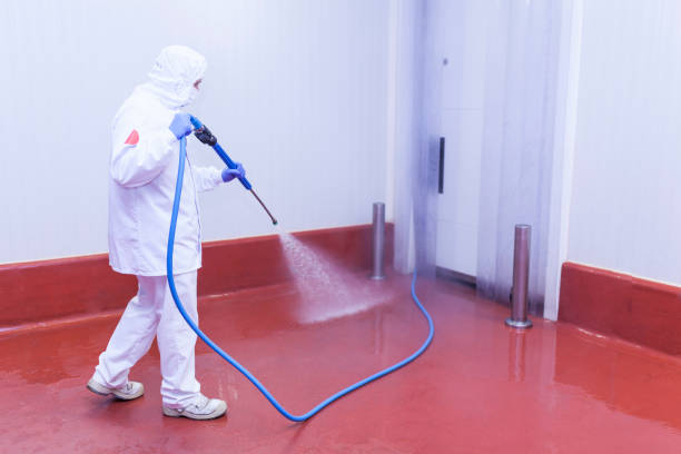 Best Oil Spill Cleanup  in Lake Arrowhead, CA